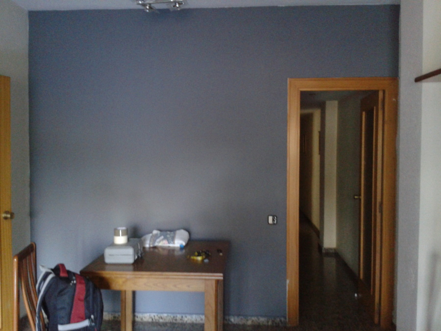 Revestimiento antihumedad y pintura de pared del salón