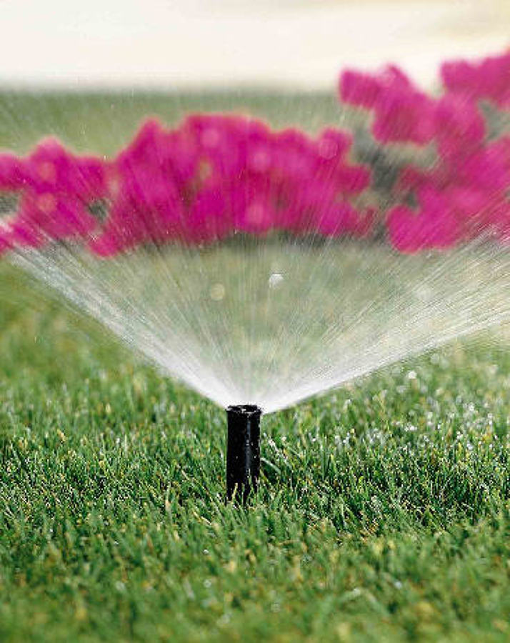 Riega con menos frecuencia pero más cantidad