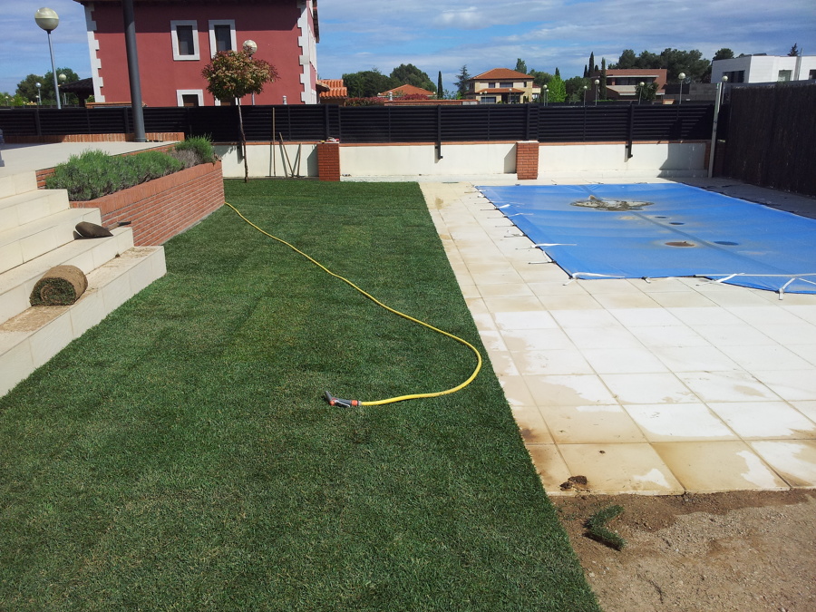 Riego abundante después de colocación