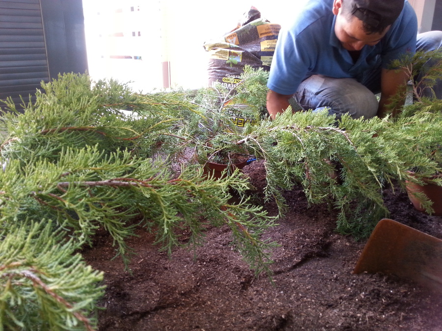 riego invisible, goteo bajo tierra