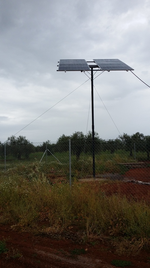 Riego solar directo en olivo de intensivo