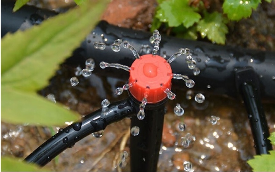 riegos de goteo con mini difusor