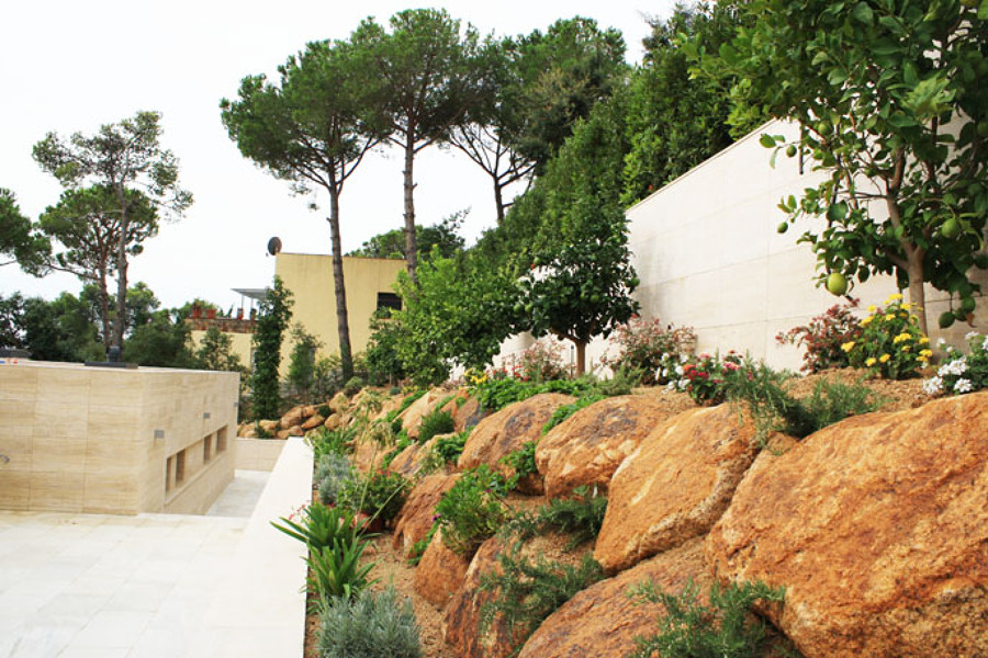 Rocalla con vegetación