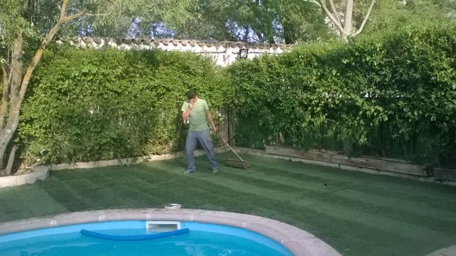 Rulando tepes de cesped recien colocados