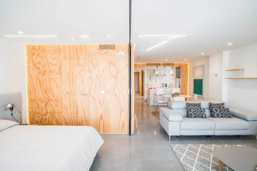 Salón-comedor-cocina-habitación 1