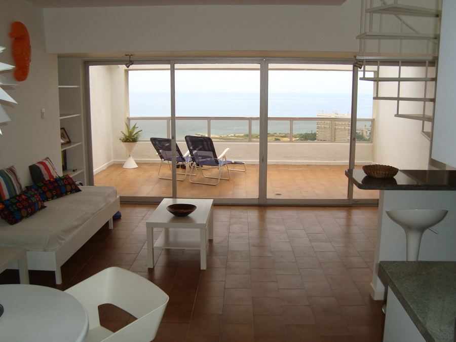 Salon - comedor - cocina - terraza.