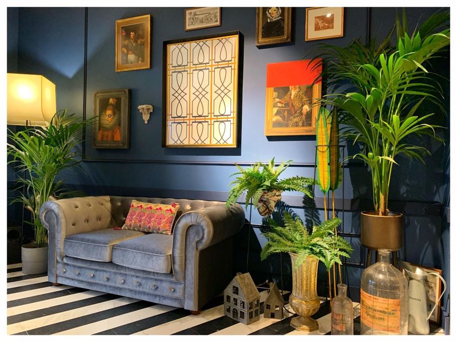 Salón con pared azul y plantas