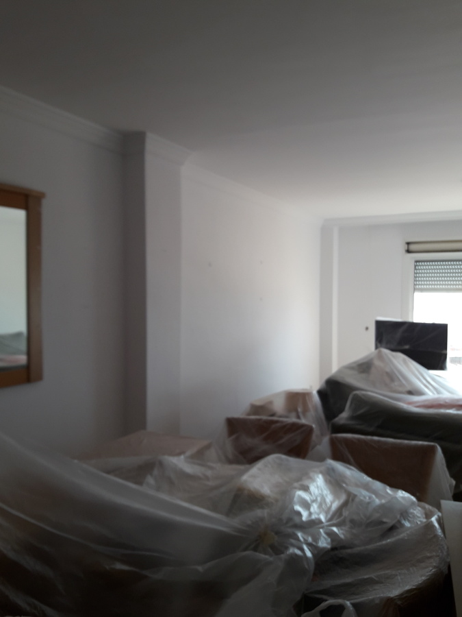 Salon durante pintura