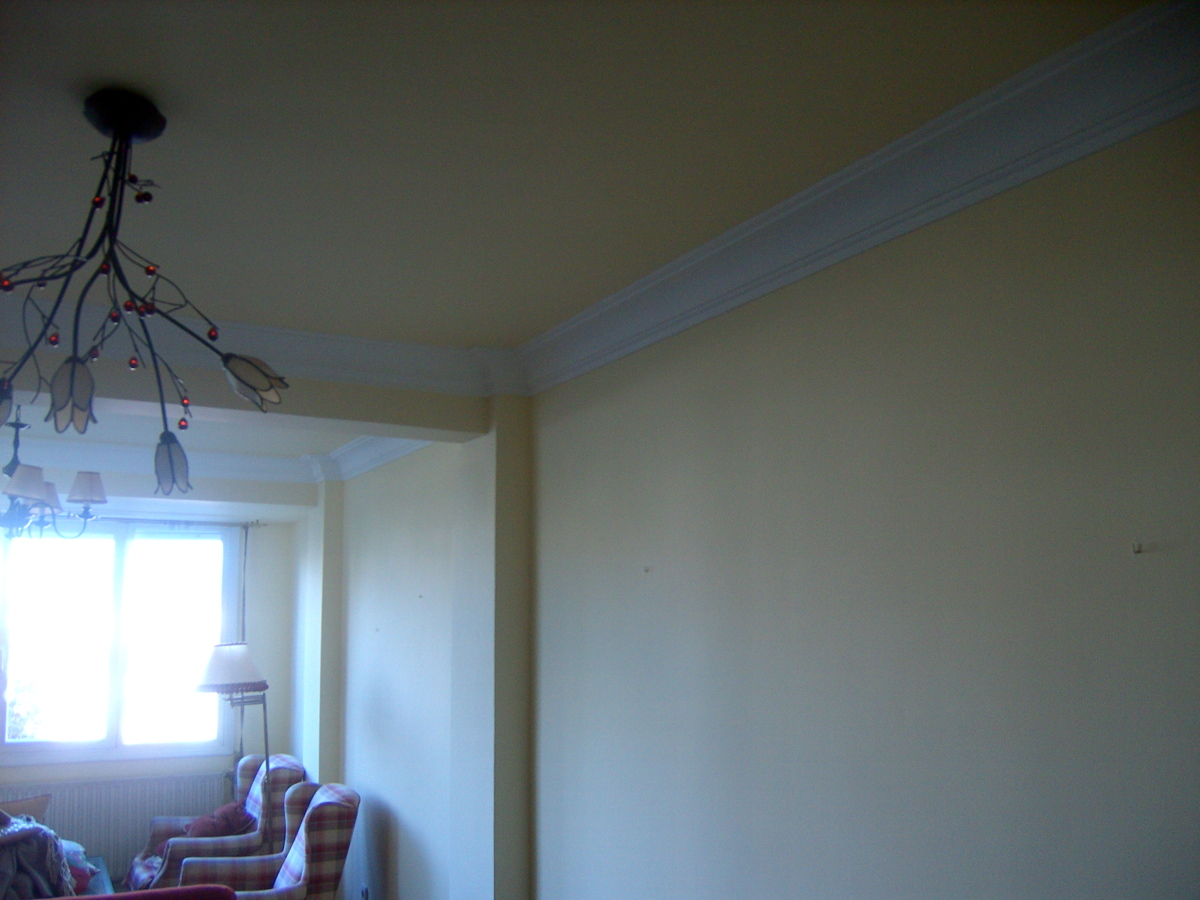 Salon en color y moldura en blanco