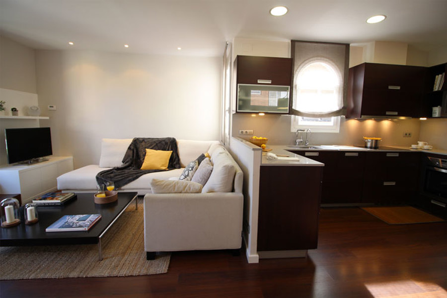 Salón y cocina en espacio abierto