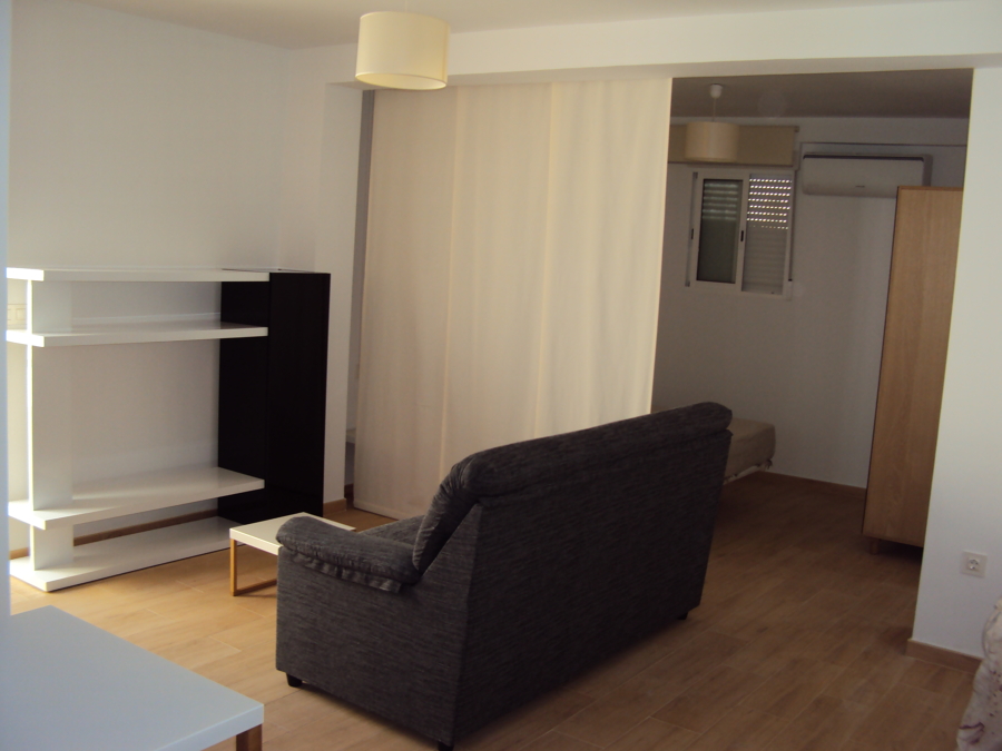 Salon y zona dormir al fondo