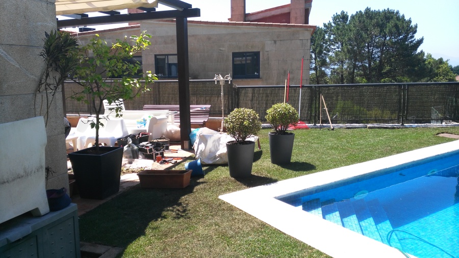 Saneado de Hebbe y Limonero