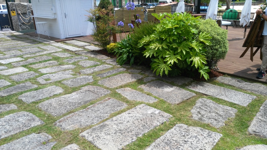 Saneado parterre