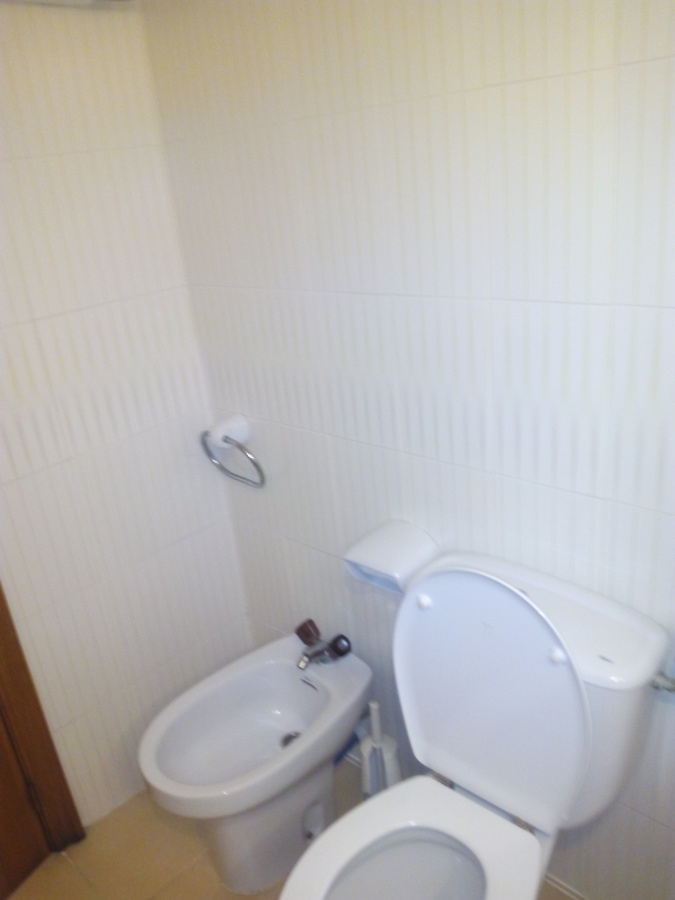 Sanitarios detrás de la puerta,  inodoro y bide