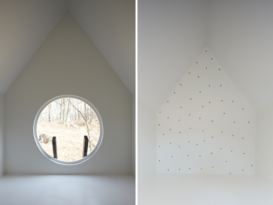 interior casa pájaros