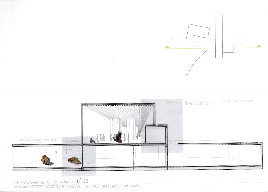 Sección transversal