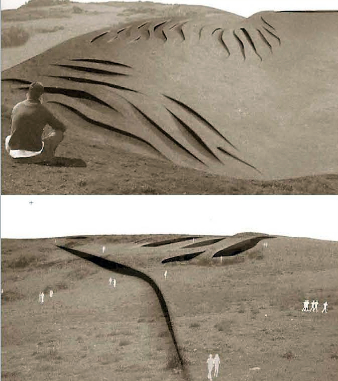 Sensaciones que comparto