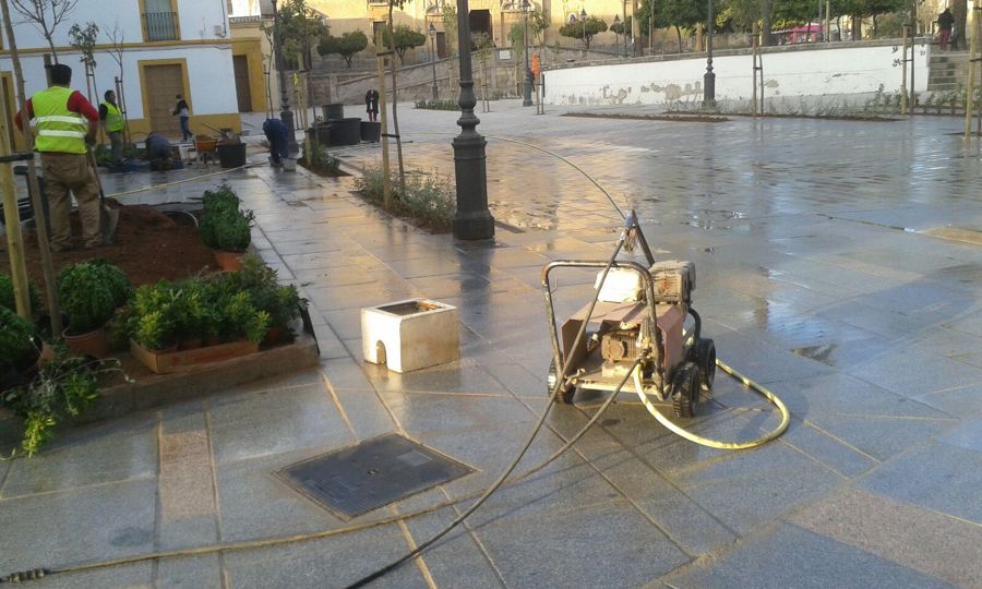 Siembra de plantas y limpieza de obra