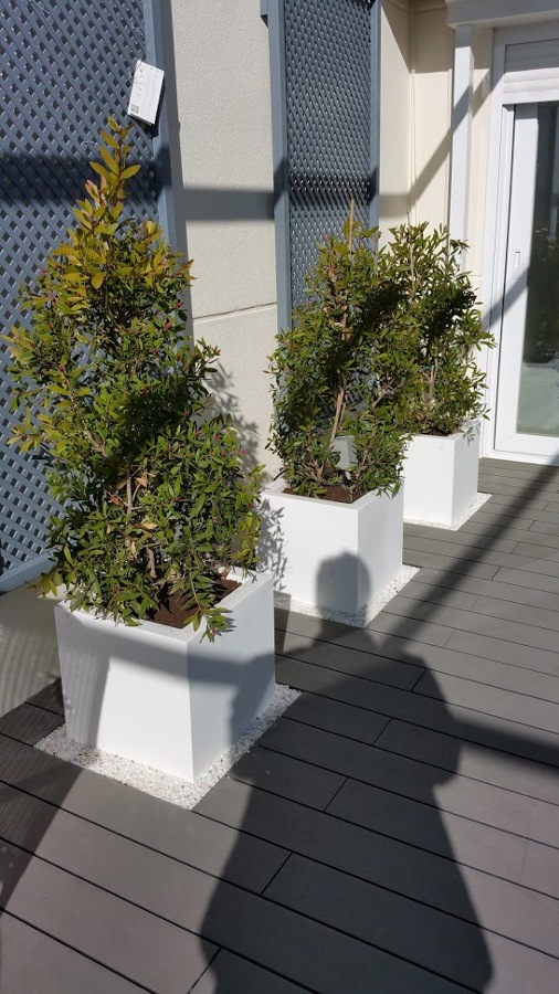 Suelo de tarima tecnológica