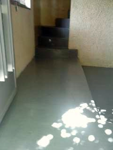 Suelo Entrada despues