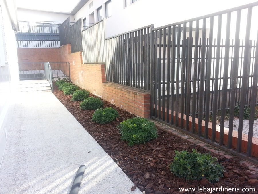 Suministro de corteza de pino y plantaciones