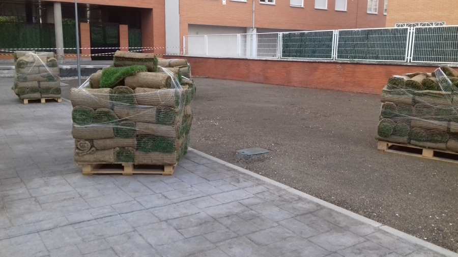 suministro y colocación césped en tepes