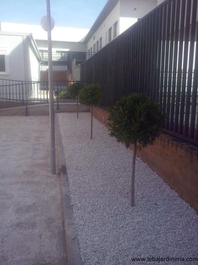 Suministro y extendido de marmolina