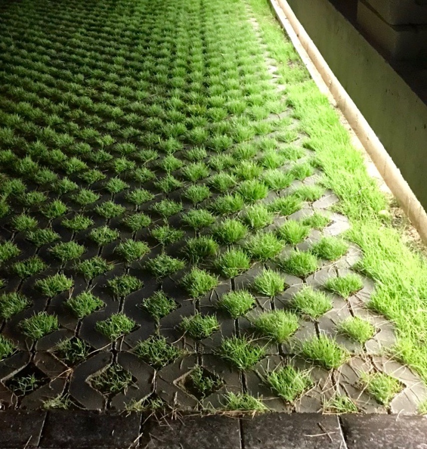 SUPERFICIE PAVIMENTADA CON CÉSPED