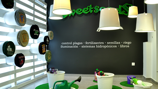 Sweet Seeds - VITALE