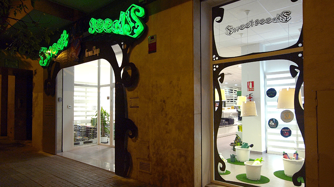 Sweet Seeds - VITALE