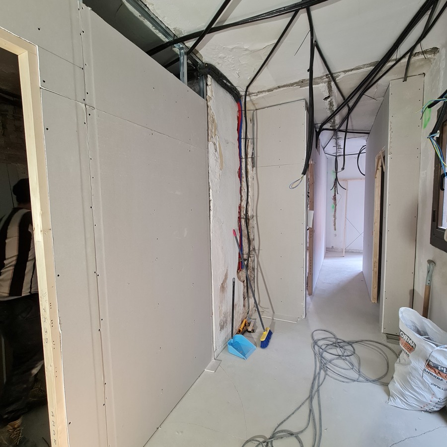 Tabiques y techos de pladur (Durante)