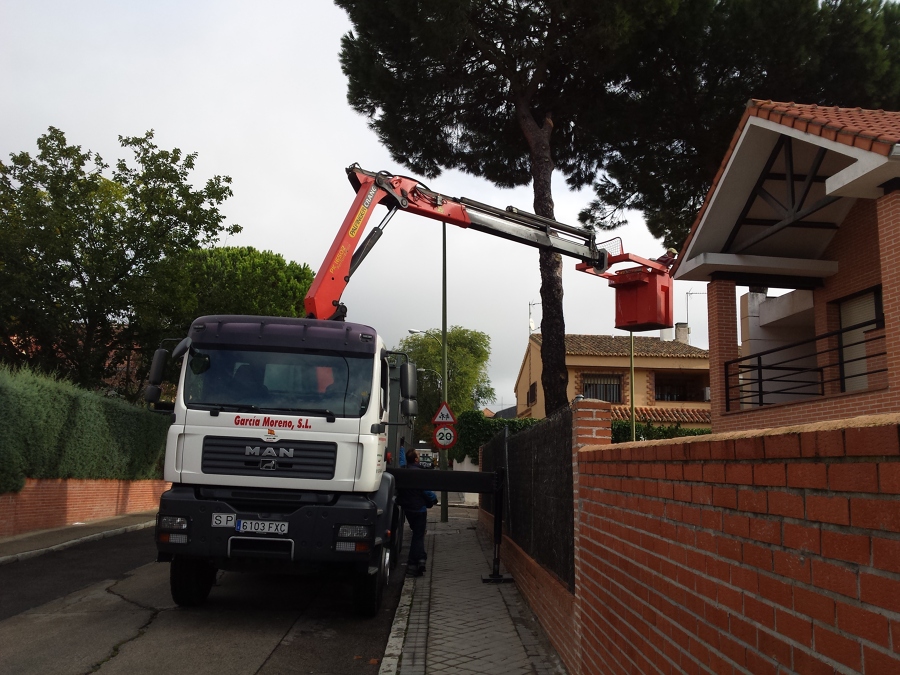 tala arbol particular, con grua con cesta