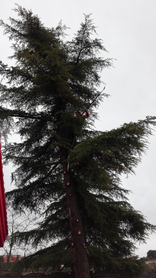 Talador durante el proceso de corte