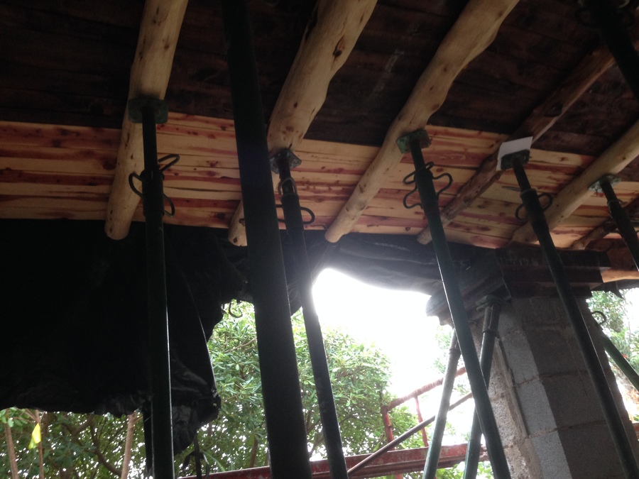 Tallet nuevo y savinas