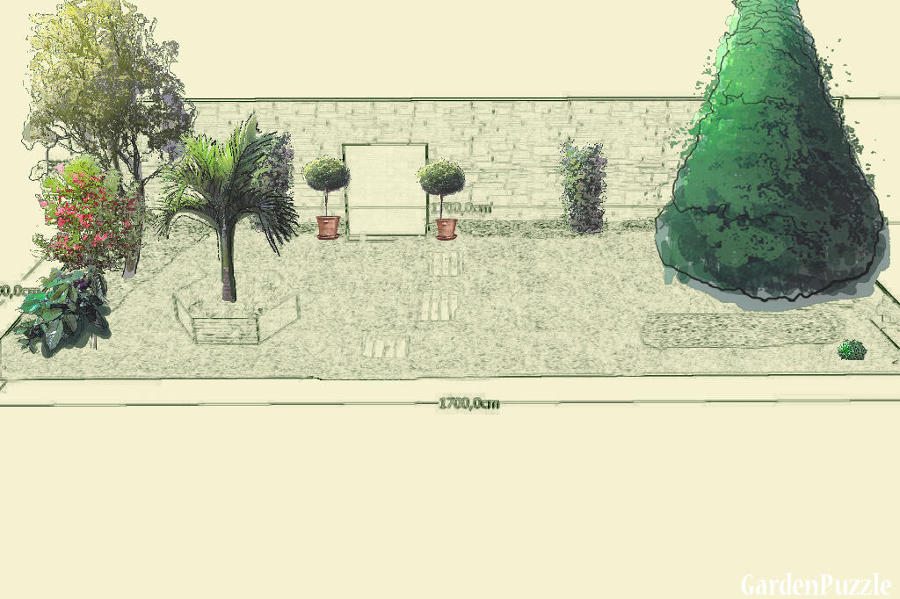 también boceto con las plantas aconsejadas