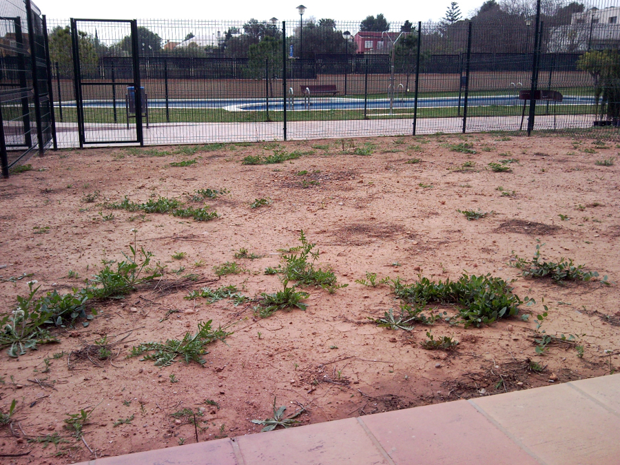 TARIMA EXTERIOR FIBERON PROFESSIONAL GRIS