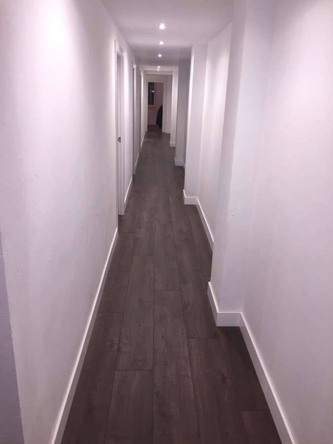 TARIMA LAMINADA MAMMUT