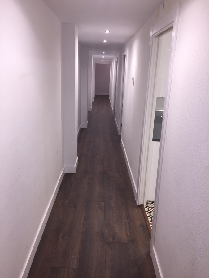 TARIMA LAMINADA MAMMUT