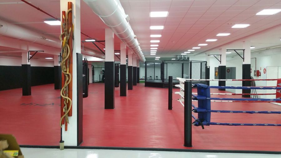 tatami, ring y octogono