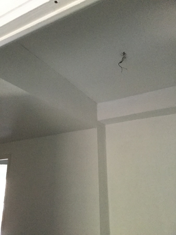 Techo de entrada principal 