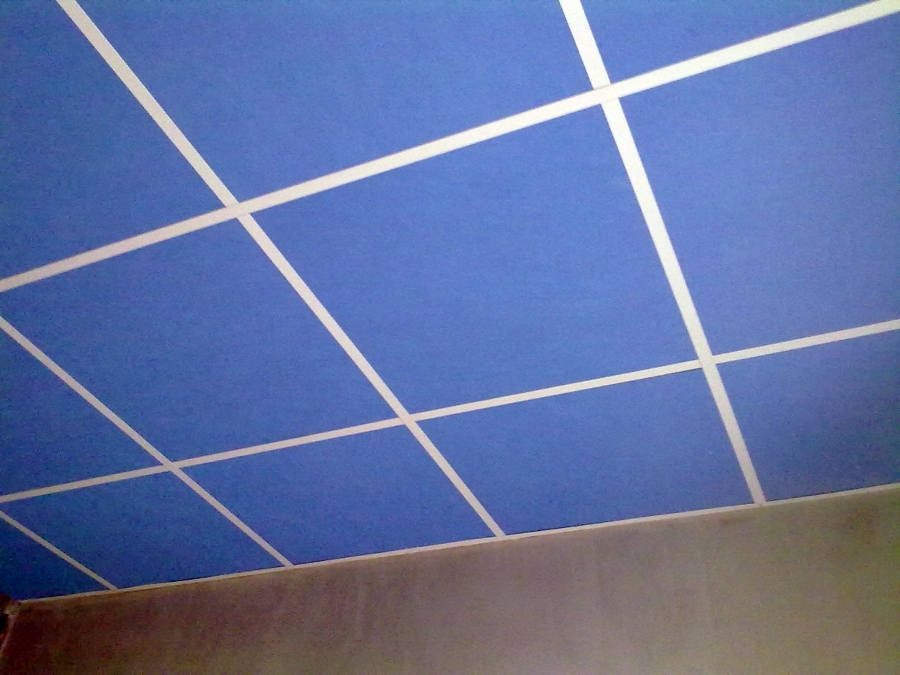 Techo desmontable acustico  Rockfon ,tienda de informatica.