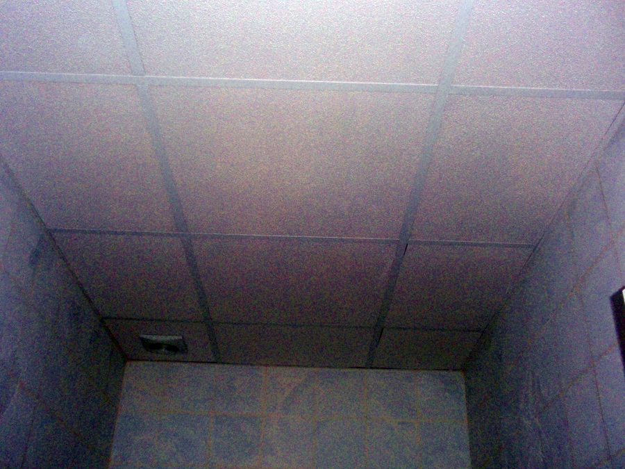 Techo desmontable picado visto Restaurante comida rapida.