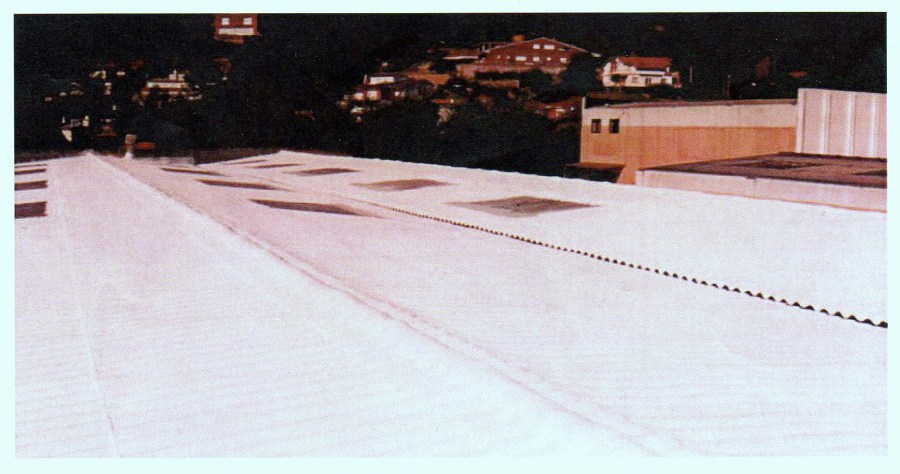 Techo pintado con ProtectSun