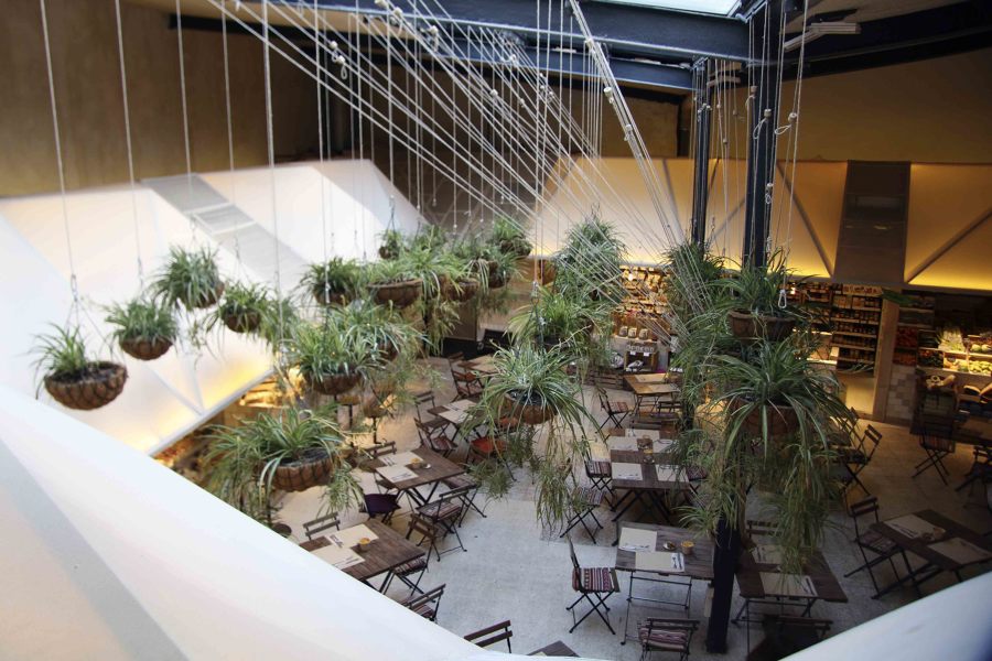 Techo plantas - El Huerto de Lucas