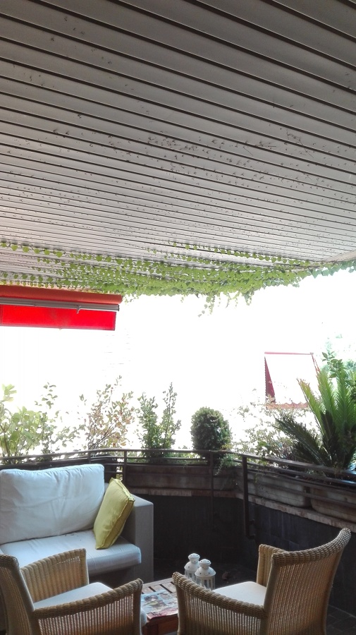 Techo terraza 