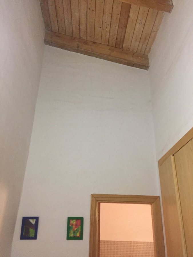 Techos de 4,55 m. de alto