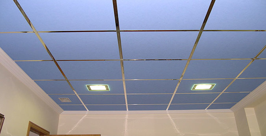 TECHOS DE ESCAYOLA DESMONTABLE Y FIJA