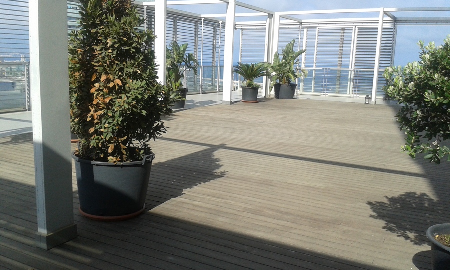 Terassa y cristales 2