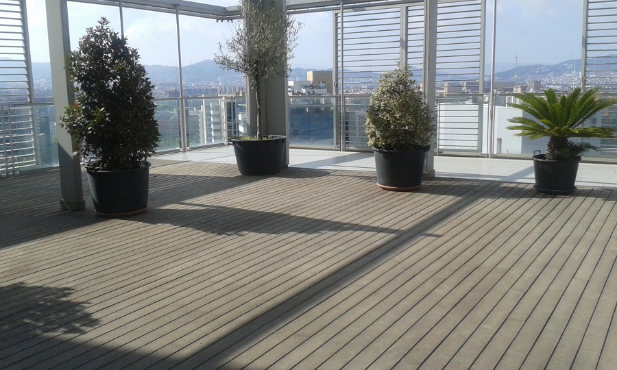 Terassa y cristales 3