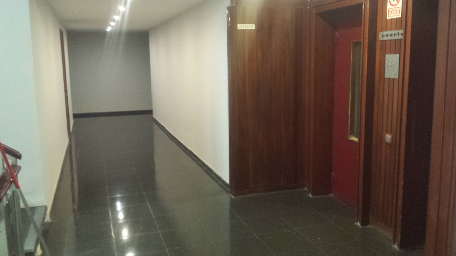 terminada esta planta